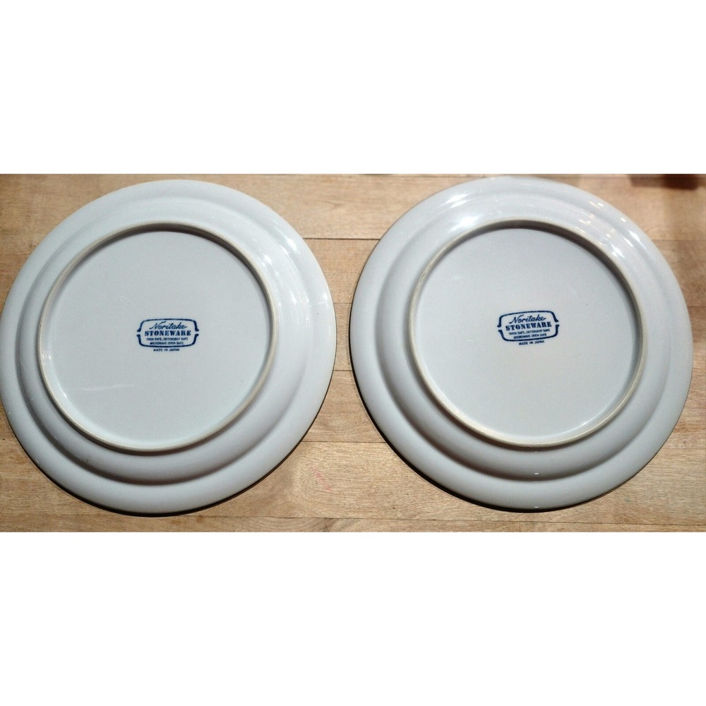 2 Vintage NORITAKE STONEWARE Tundra Pattern #8959 SALAD PLATES JAPAN 8.25" - Picture 2 of 3